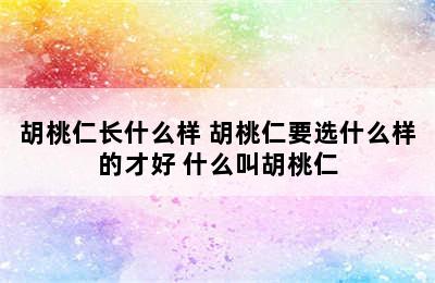 胡桃仁长什么样 胡桃仁要选什么样的才好 什么叫胡桃仁